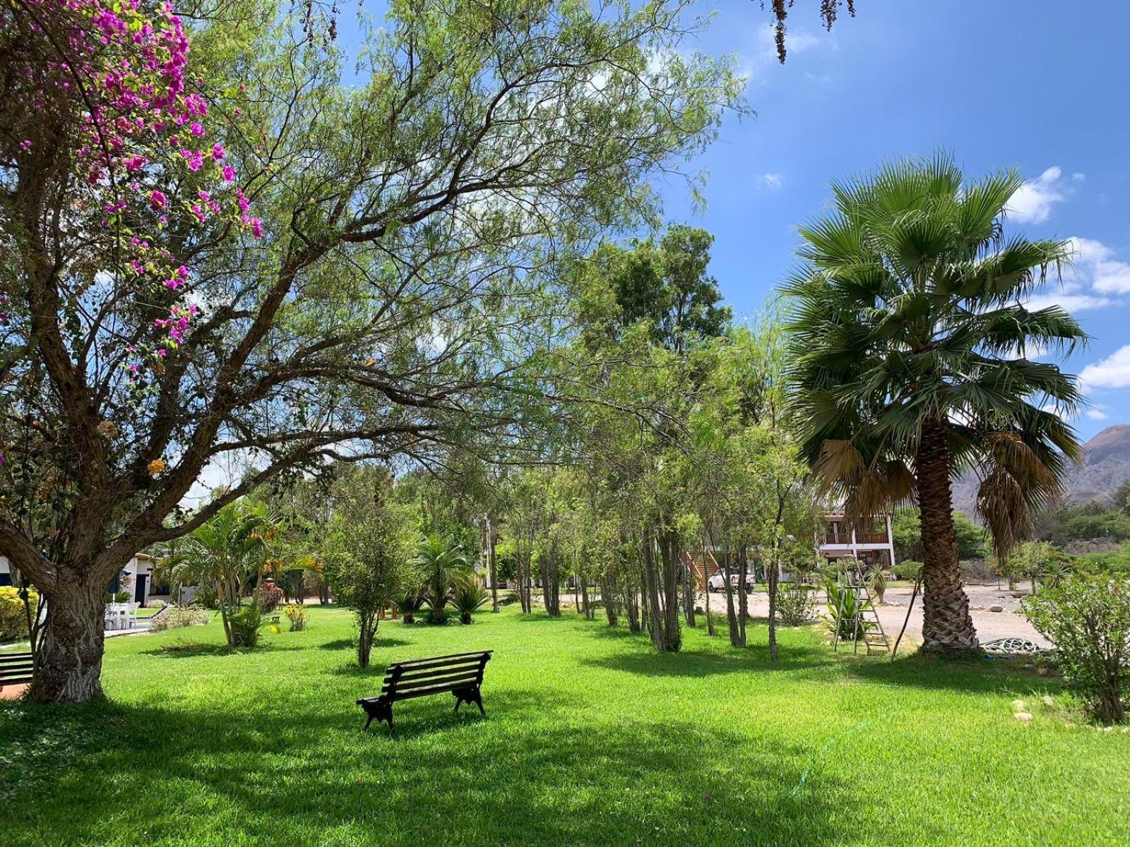 Casa Hacienda Nasca Oasis Hotell Nazca Eksteriør bilde