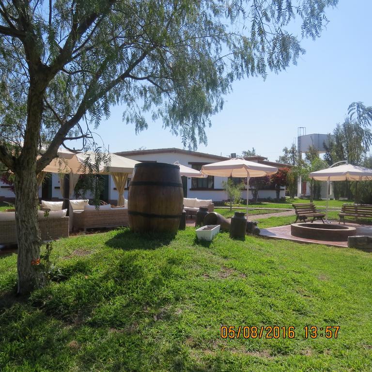 Casa Hacienda Nasca Oasis Hotell Nazca Eksteriør bilde