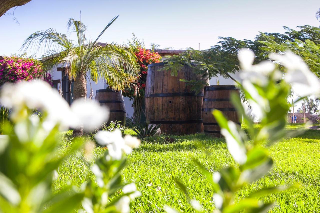 Casa Hacienda Nasca Oasis Hotell Nazca Eksteriør bilde